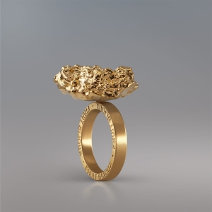NUGGET RING 23MM AU SIGNATURE AU .jpg