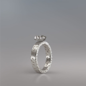 NUGGET RING 10MM AG DASHES AG .jpg