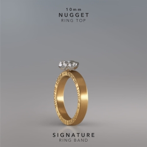 Ring Nugget 10mm ag signature au .jpg